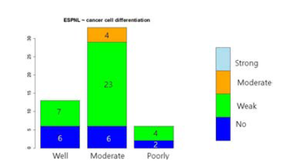 CCRT 치료 후 생존한 암세포의 분화도와 ESPNL발현 사이에는 뚜렷한 상관관계가 없음(p =0.2411)