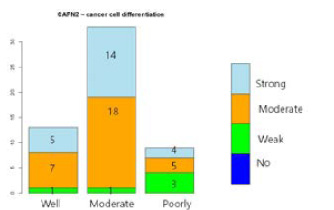 CCRT 치료 후 생존한 암세포의 분화도와 CAPN2 발현 사이에 뚜렷한 상관관계가 있으며 분화 가 나쁠수록 CAPN2발현이 감소함(p=0.0129)