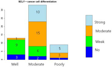 CCRT 치료 후 생존한 암세포의 분화도와 SCLY 발현 사이에 뚜렷한 상관관계가 있으며 분화가 나쁠수록 SCLY발현이 증가함(p=0.0004274)