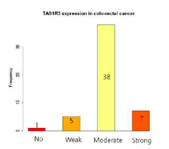 CCRT받은 대장암세포에서의 TAS1R3 발현