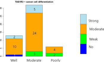 CCRT 치료 후 생존한 암세포의 분화도와 TAS1R3 발현 사이에 뚜렷한 상관관계가 관찰되지 않음(p=0.1982)