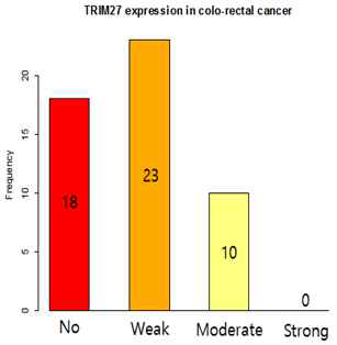 CCRT받은 대장암환자 조직에서의 TRIM27 발현