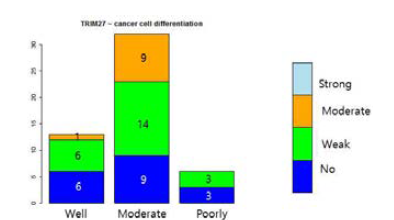 CCRT 치료 후 생존한 암세포의 분화도와 TRIM27 발현 사이에는 뚜렷한 상관관계가 없음 (p=0.3288)