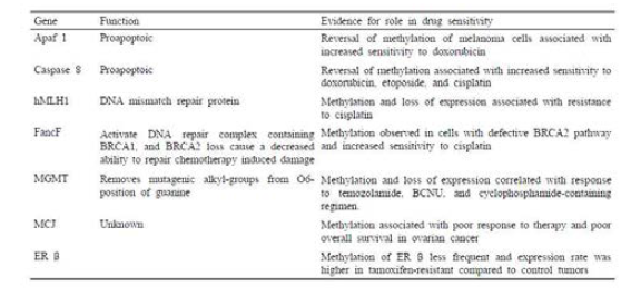 Examples of methylated genes associated with drug resistance