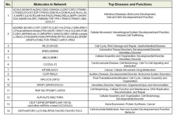 선별된 242개 DMRs 관련 기전 및 질병, 기능 목록