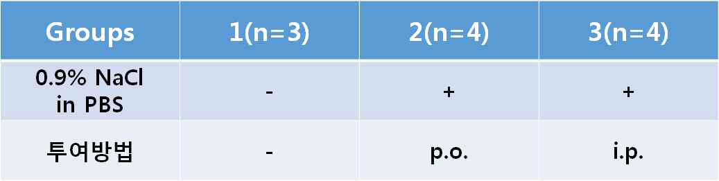 투여방법에 따른 실험군 설정
