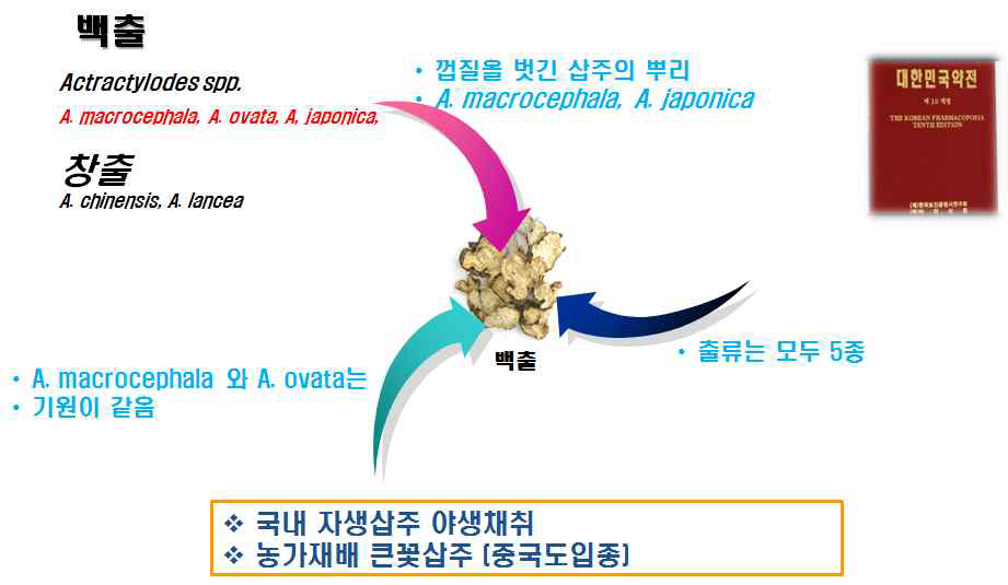 백출의 정의, 이용 및 생약자원으로의 이용