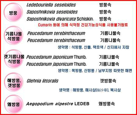 방풍류 약용식물의 학명 및 식물명