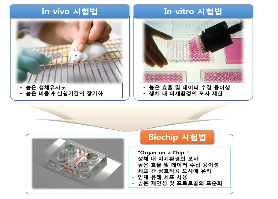 생체시험법과 생체외 시험법의 단점을 모두 극복하는 발암물질 검색법의 개발