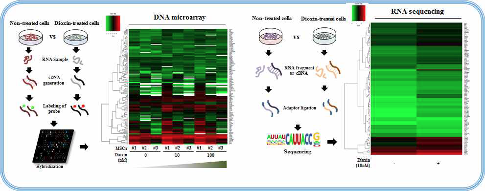 DNA microarray와 RNA sequencing을 통한 표적 유전자 발굴