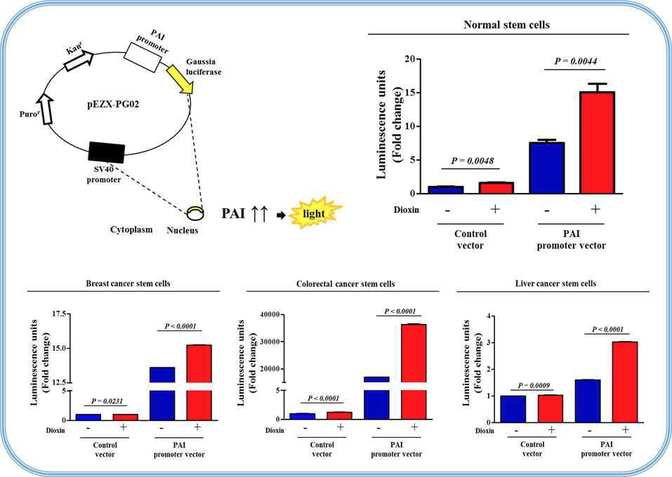줄기세포 및 다양한 암줄기세포에 PAI 리포터 시스템 탑재