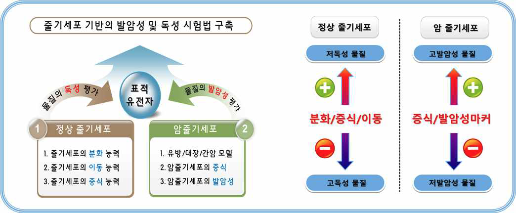 독성 및 발암성의 정량적 평가 전략