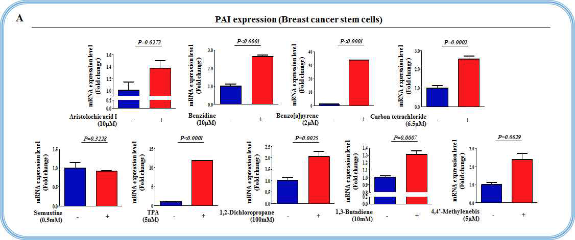 유방암 줄기세포에서 9개 독성 및 발암 물질에 대한 PAI의 반응성 검증