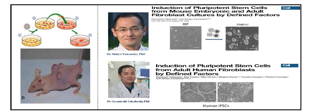 줄기세포로부터 암이 발생할 수 있다는 연구 결과