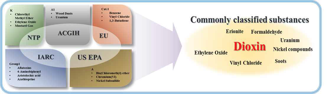 시험 평가 기준 물질로 다이옥신(Dioxin)의 선정