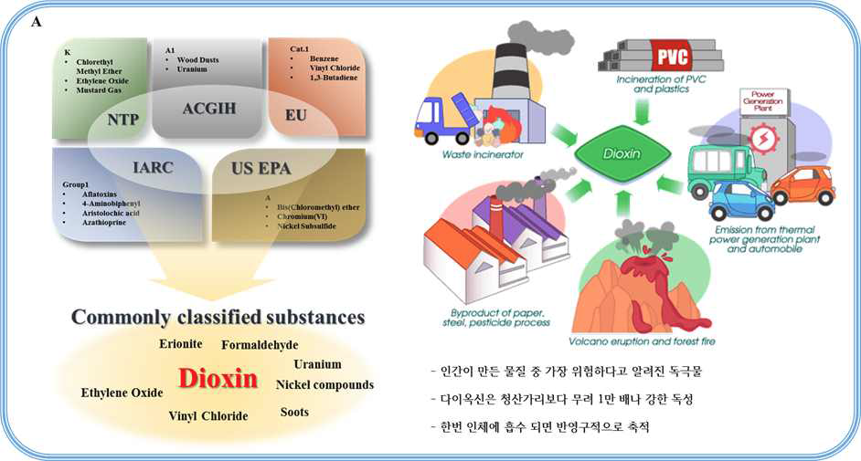 시험 평가 기준 물질로 다이옥신(Dioxin)의 선정