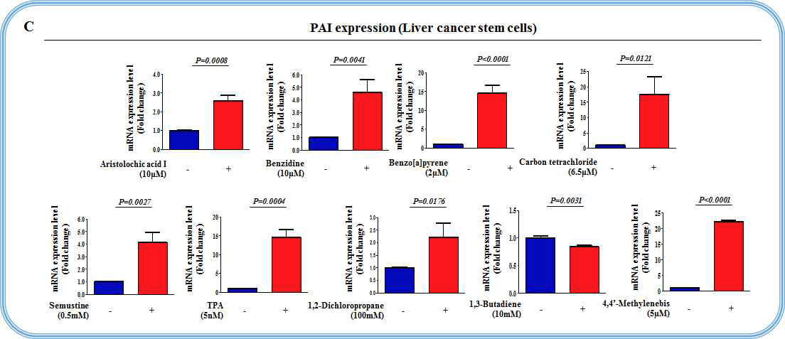 간암 줄기세포에서 9개 독성 및 발암 물질에 대한 PAI의 반응성 검증