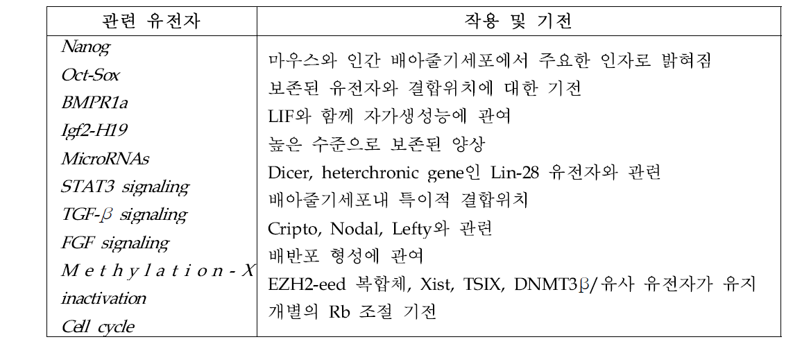 마우스 배아줄기세포에서 자가 생성능 관련 유전자