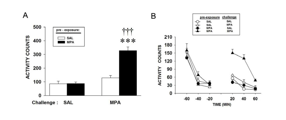 동일한 dose (5 mg/kg)의 MPA로 challenge를 주었을 때, MPA 전처리 그룹에서 saline control 그룹에 비하여 현저한 locomotor activity의 증가가 관찰 됨.