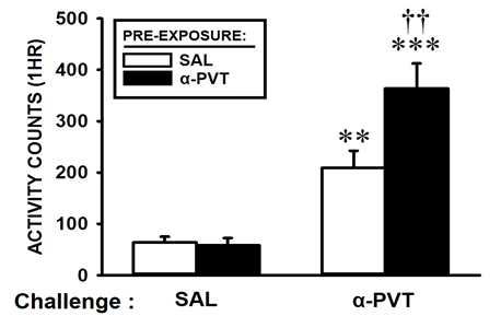 동일한 dose (10 mg/kg)의 α-PVT를 다시 주었을 때, α-PVT로 전처리한 그룹에서 saline control 그룹에 비하여 locomotor activity의 증가가 높게 나옴. 따라서, α-PVT도 MPA와 마찬가지로 behavioral sensitization을 잘 일으킴을 알 수 있다. 그래프는 locomotor activity 1시간 전체의 결과를 나타낸다 (n = 5 ~ 6).