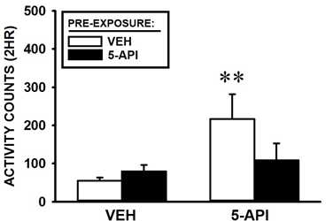 동일한 dose (10 mg/kg)의 5-API를 다시 주었을 때, 5-API로 전처리한 그룹에서 saline control 그룹에 비하여 locomotor activity의 증가는 나타나지 않음. 따라서, 5-API는 MPA와는 달리behavioral sensitization을 일으키지는 않는 것 같음. 그래프는 locomotor activity 2시간 전체의 결과를 나타낸다(n = 6 ~ 7).