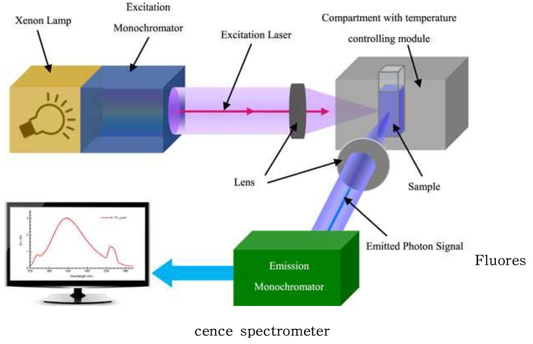 형광광도계 (Florescence spectrometer)의 측정원리