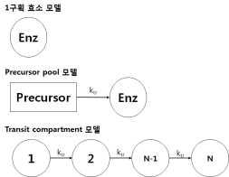 효소 구획 모델