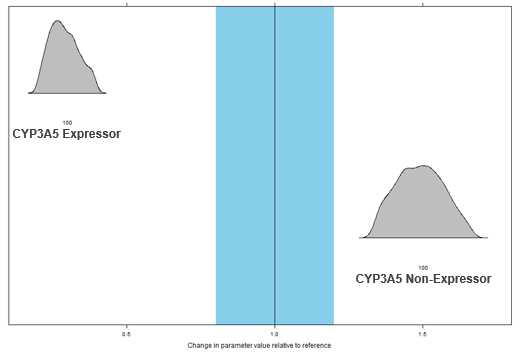 CYP3A5 유전자형의 tacrolimus CL/F에 대한 영향성 평가