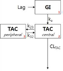 Tacrolimus 모델의 구조