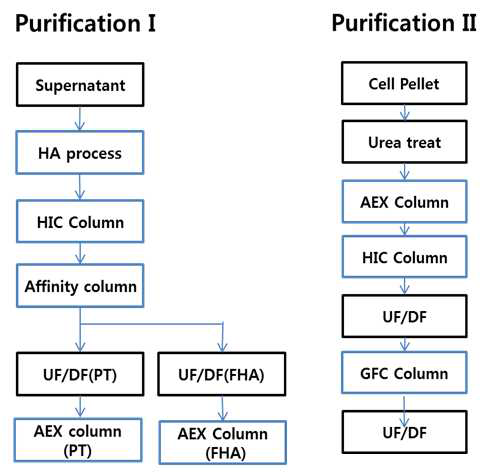 Pertussis antigen purification process