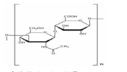 Hyaluronic acid 구조.