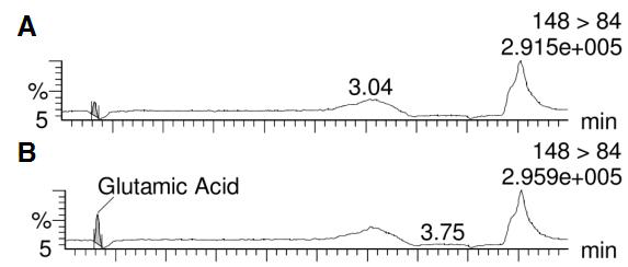 L-glutamic acid의 LOD(A), LOQ(B) LC-MS/MS 크로마토그램