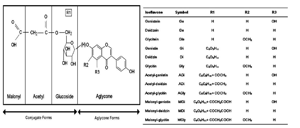 Chemical structures of soybean isoflavones and abbreviations