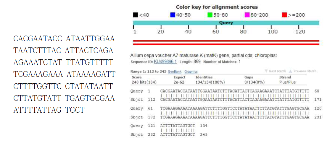 종 특이 Real-time PCR 산물의 염기서열 분석결과 및 NCBI-BLAST 검색 결과