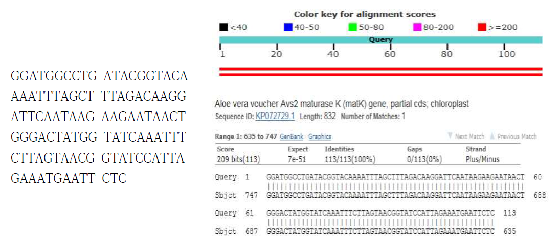 Real-time PCR 산물의 염기서열 분석결과 및 NCBI-BLAST 검색 결과