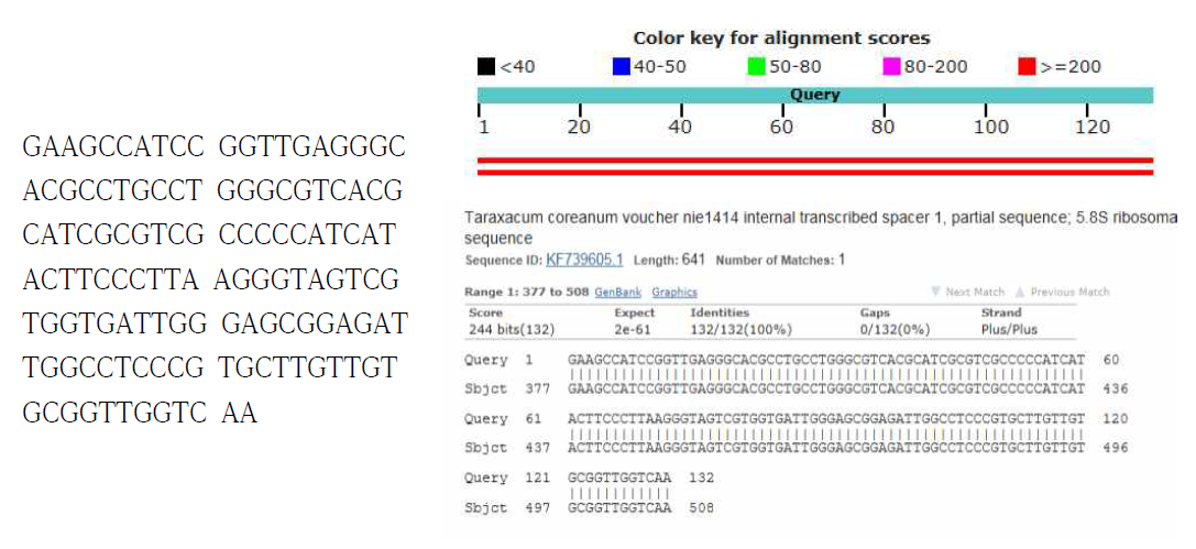 종 특이 Real-time PCR 산물의 염기서열 분석결과 및 NCBI-BLAST 검색 결과