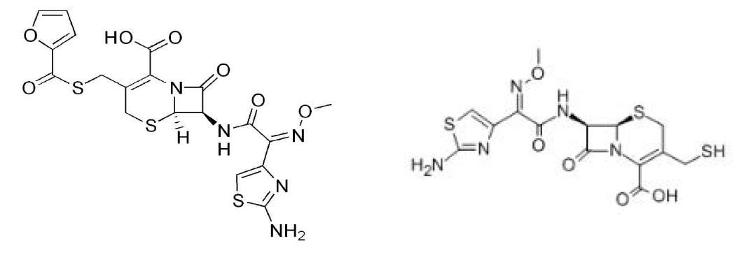 Molecular of Ceftiofur and Desfuryl ceftiofur.