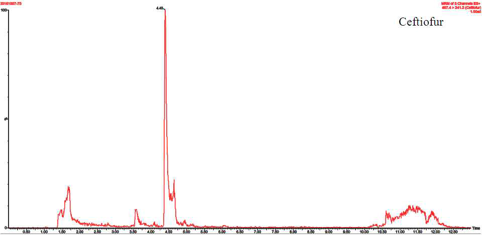 Chromatogram of Ceftiofur (Desfuroyl Ceftiofur Acetamide) MRL recovery test in Eel sample.