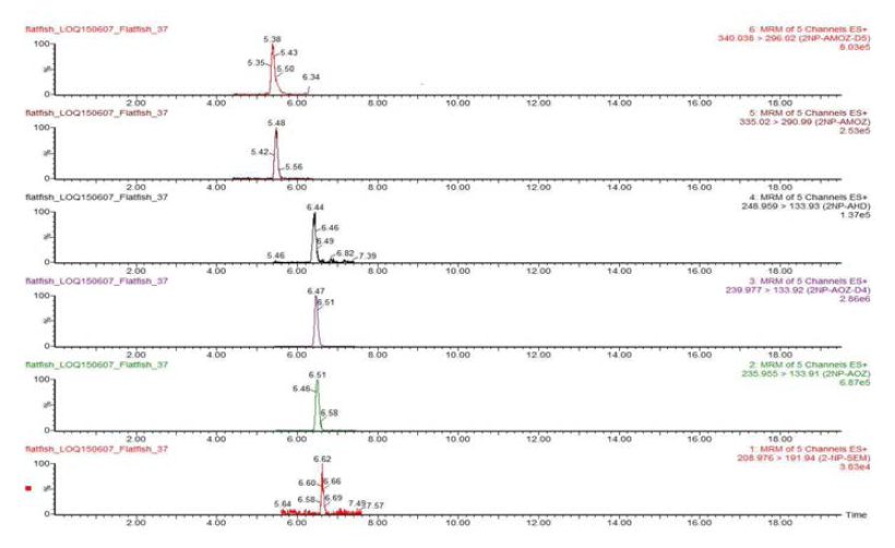 Chromatograms of Nitrofurans LOQ recovery test in Flatfish sample.