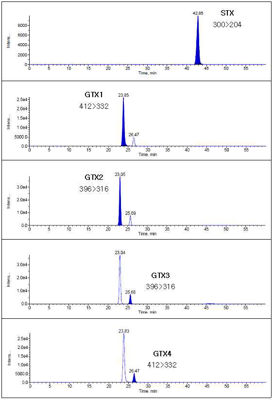 HPLC-MS/MS chromatograms showing the separation of the PSP toxins(80∼246 ng/mL standard solution in solvent) in the positive ion mode(quantification ions).