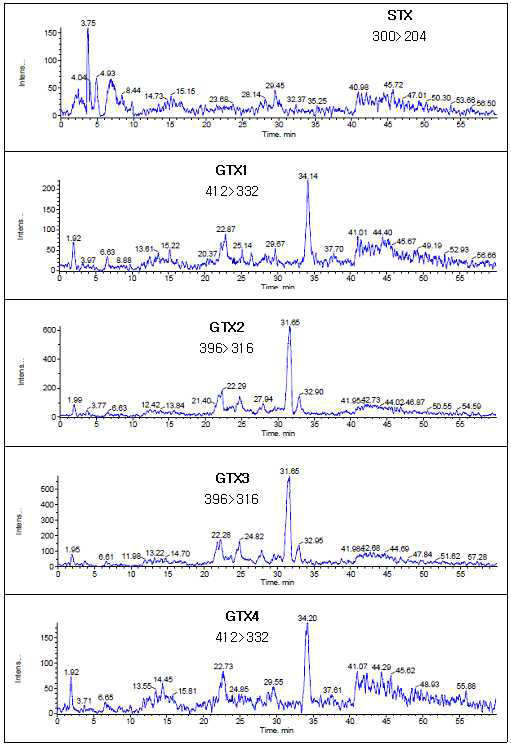 HPLC-MS/MS chromatograms showing absence of the PSP toxins in mussel sample solution.