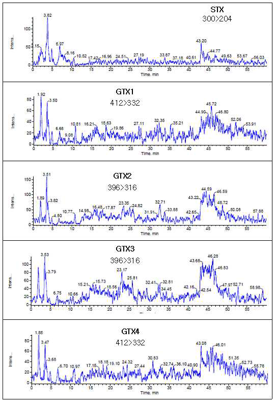 HPLC-MS/MS chromatograms showing absence of the PSP toxins in ark shell sample solution.