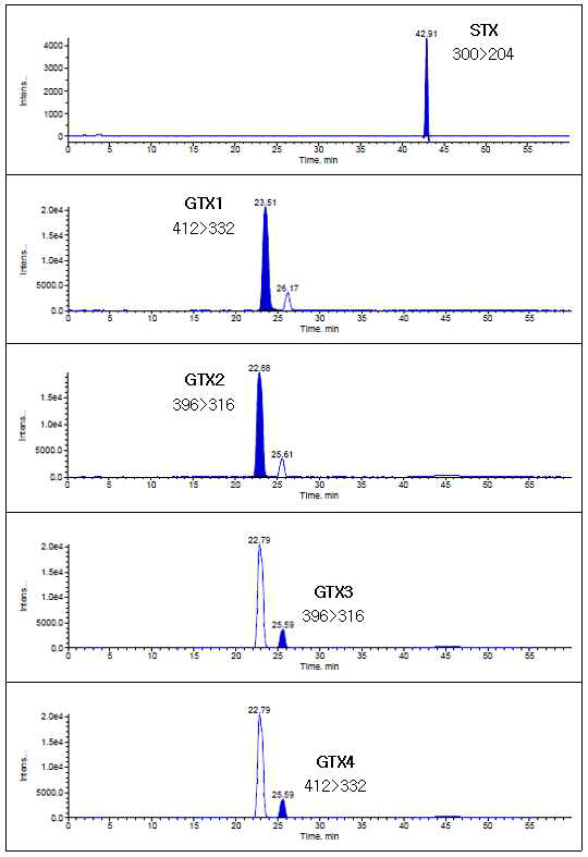 HPLC-MS/MS chromatograms showing the separation of the PSP toxins(80∼246 ng/mL standard solution in ark shell) in the positive ion mode.