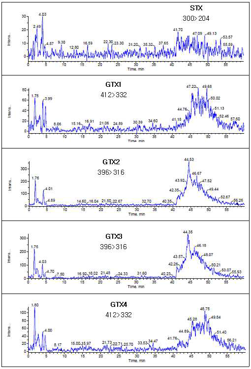 HPLC-MS/MS chromatograms showing absence of the PSP toxins in sea squirt sample solution.