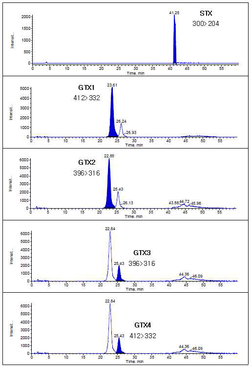 HPLC-MS/MS chromatograms showing the separation of the PSP toxins(80∼246 ng/mL standard solution in sea squirt) in the positive ion mode