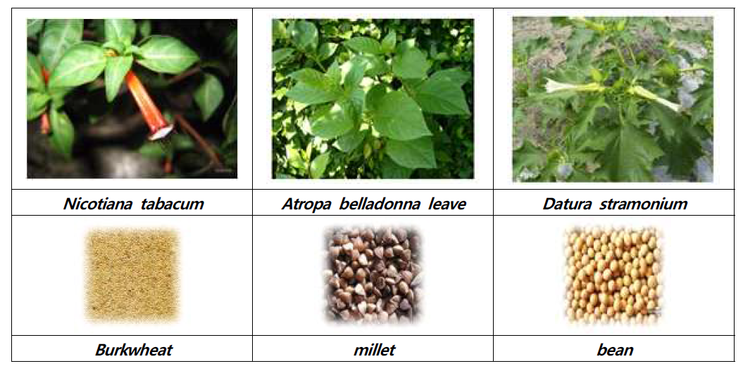 트로판 알칼로이드 성분이 많이 함유된 식물종 및 곡류