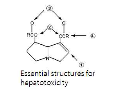 Essential structures for hepatotoxicity