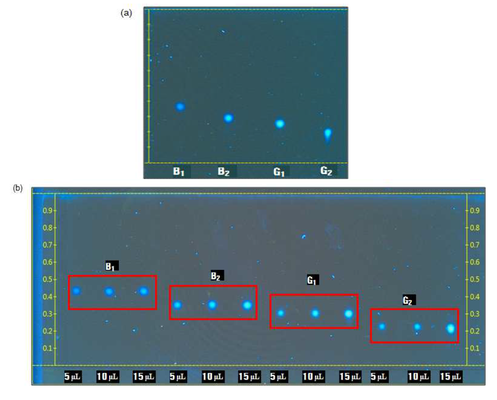 Thin layer chromathography identifying aflatoxin B1, B2, G1, G2