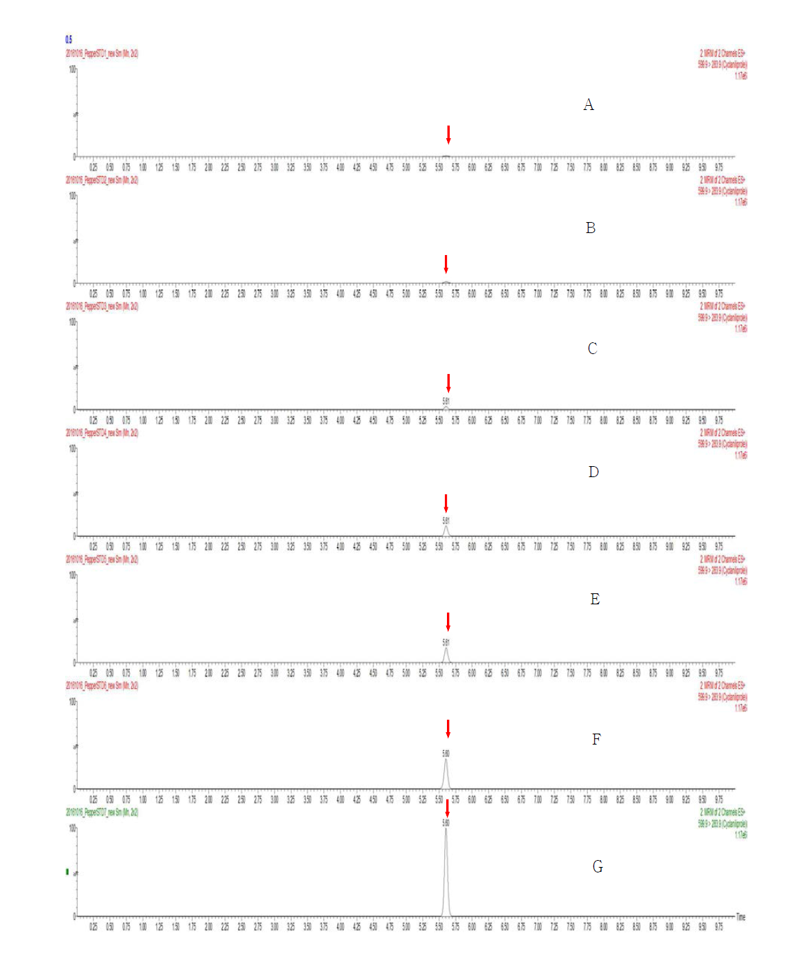 LC-MS/MS chromatograms of Cyclaniliprole stnadard in pepper matrix (A) 0.005 mg/kg, (B) 0.01 mg/kg, (C) 0.02 mg/kg, (D) 0.05 mg/kg, (E) 0.1 mg/kg, (F) 0.2 mg/kg, and (G) 0.5 mg/kg