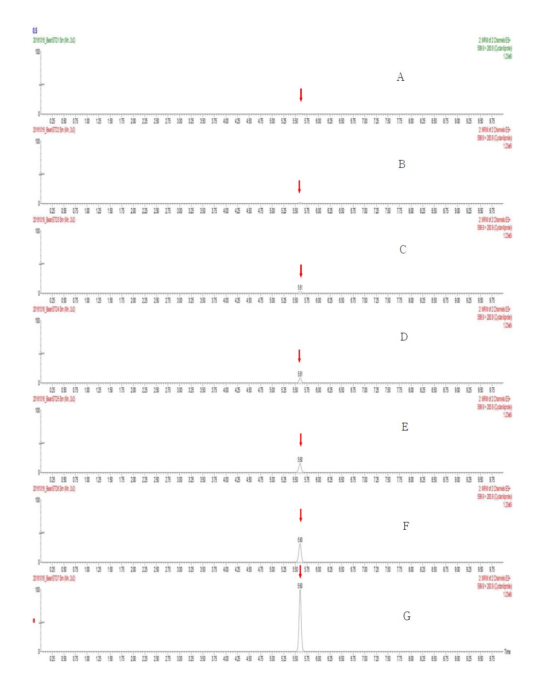 LC-MS/MS chromatograms of Cyclaniliprole standard in soybean matrix (A) 0.005 mg/kg, (B) 0.01 mg/kg, (C) 0.02 mg/kg, (D) 0.05 mg/kg, (E) 0.1 mg/kg, (F) 0.2 mg/kg, and (G) 0.5 mg/kg